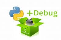 Debug_selenium_featured_picture